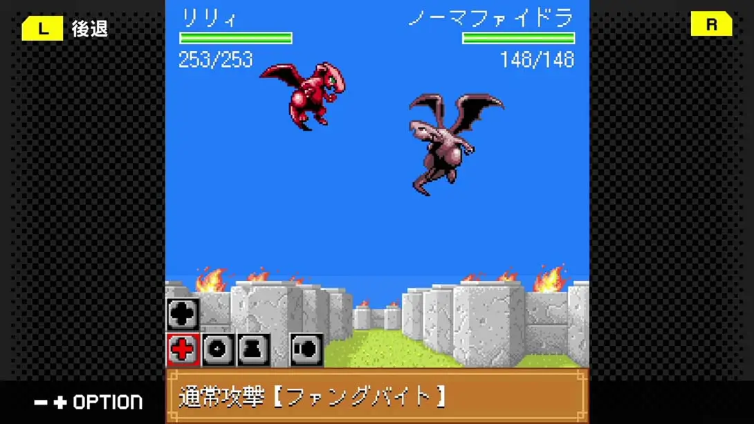 G-MODE 48 DRAGON×DRAGON2 街机 游戏画面截图