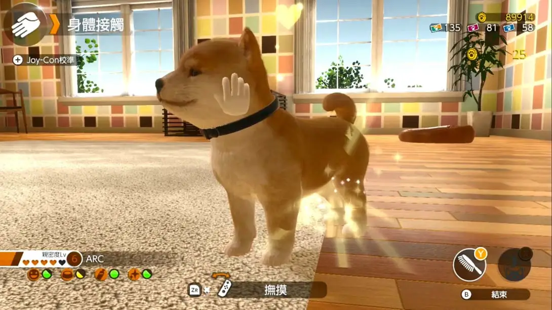 小小伙伴：狗狗与猫猫.LITTLE FRIENDS -DOGS & CATS- 养成 经营 模拟 游戏画面截图