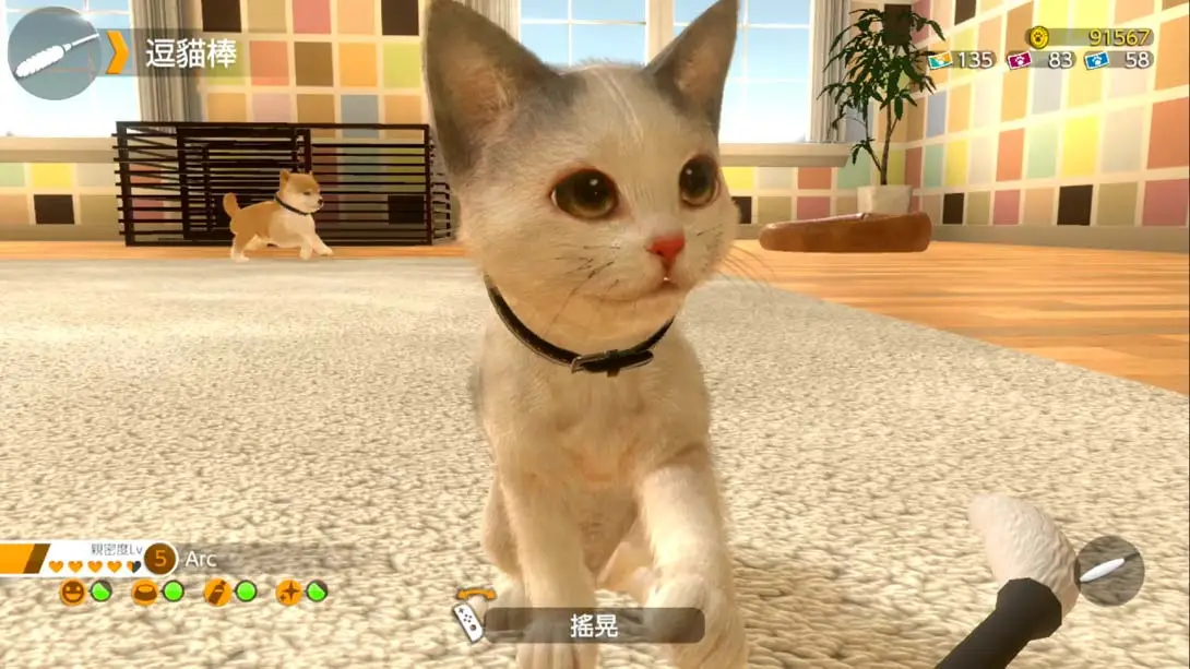小小伙伴：狗狗与猫猫.LITTLE FRIENDS -DOGS & CATS- 游戏内截图1 养成 经营 模拟